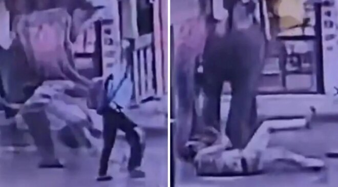 Elinden şeker yemişti! Fil Kendisine tatlı veren işçiyi ezerek öldürdü