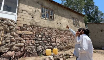 Evleri yılanların istilası altında: Hayatları kabusa dönen aile, yetkililerden yardım istiyor