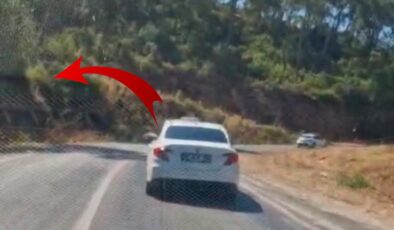 Marmaris’te ormana sigara izmariti atan sürücüyü güvenlik kamerası yakalattı