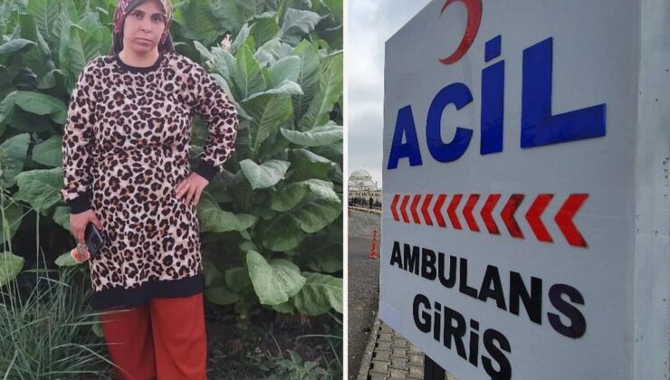 Tarlada beyin kanaması geçiren 3 çocuk annesi yaşamını yitirdi