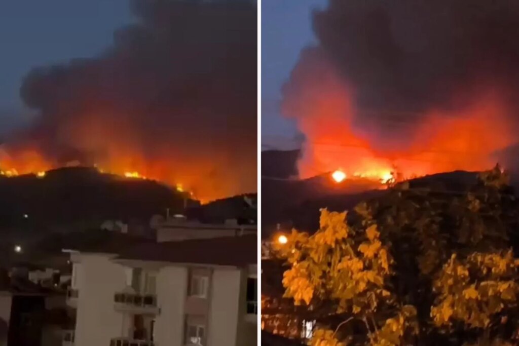 Aydın ve Balıkesir’de orman yangını! Havadan ve karadan müdahale devam ediyor