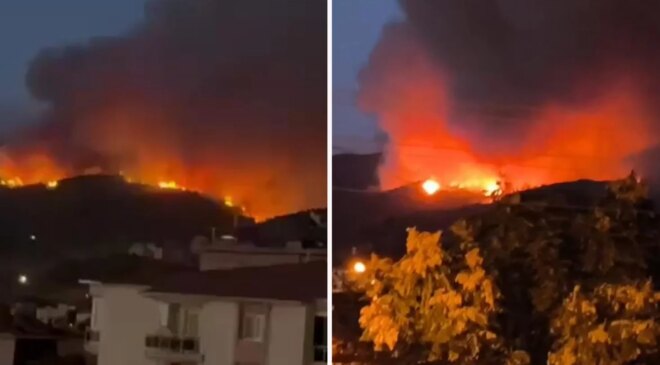 Aydın ve Balıkesir’de orman yangını! Havadan ve karadan müdahale devam ediyor