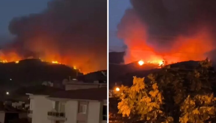 Aydın ve Balıkesir’de orman yangını! Havadan ve karadan müdahale devam ediyor