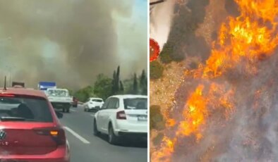 Manisa’nın Akhisar ilçesinde ormanlık alanda yangın
