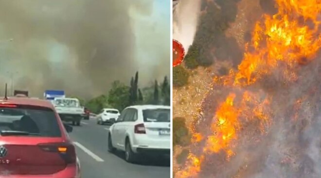 Manisa’nın Akhisar ilçesinde ormanlık alanda yangın