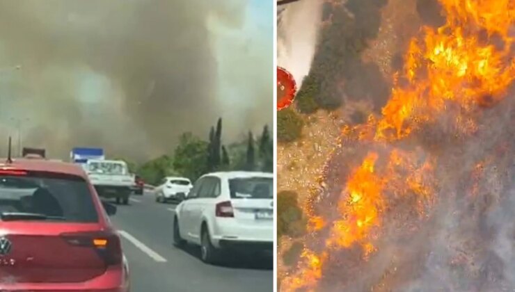 Manisa’nın Akhisar ilçesinde ormanlık alanda yangın