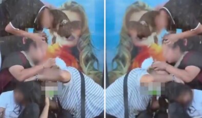 Kimseye aldırmadan saçlarındaki bitleri ayıkladılar