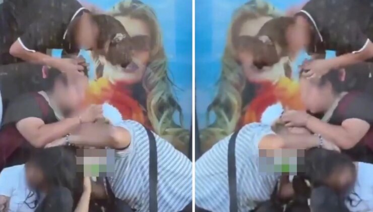 Kimseye aldırmadan saçlarındaki bitleri ayıkladılar