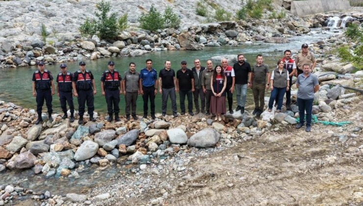 Güzellikleriyle büyülüyorlar: Tam 30 bini doğaya salındı