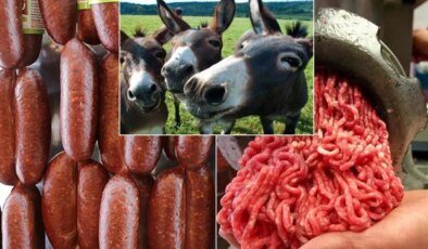İki ilde alarm! Et ürünlerinde mide bulandıran bulgu