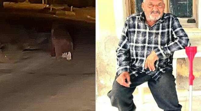 İzmir’de ayı dehşeti! Balkonda uyurken canını aldı, bir de 20 metre sürükledi