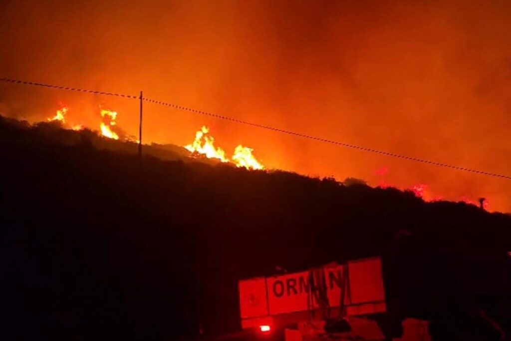 İzmir Dikili'de makilik alan yangını