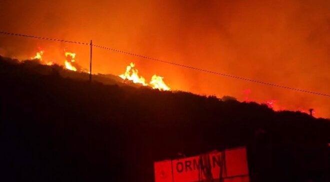 İzmir’de makilik alanda yangın