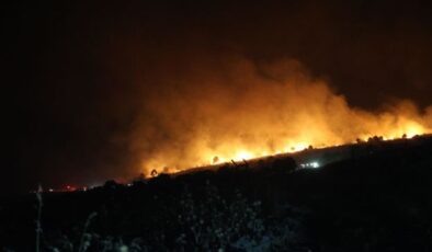İzmir’de maki yangını