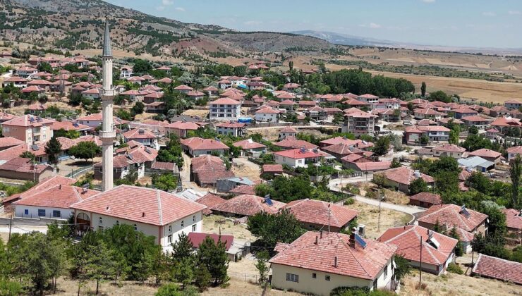 Meyvecilik projesi köyün refah seviyesini değiştirdi: Göç durdu, işsizlik bitti