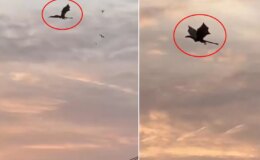Gökyüzünde beliren dev ejderha paniğe neden oldu! Gerçek sonradan ortaya çıktı