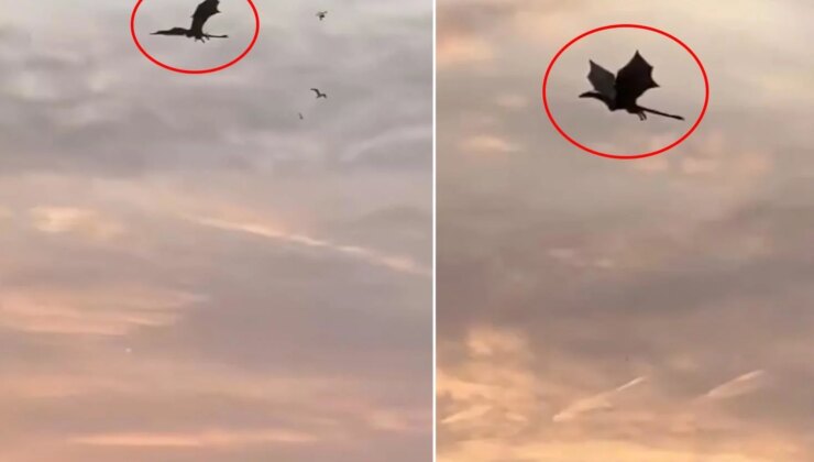 Gökyüzünde beliren dev ejderha paniğe neden oldu! Gerçek sonradan ortaya çıktı