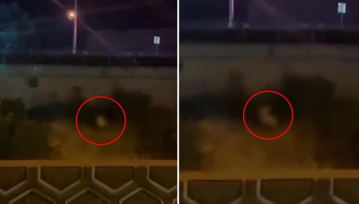 Görüntü Türkiye’den! Kimseye aldırmadan yol kenarında cinsel ilişkiye girdiler