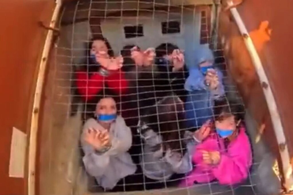 ABD'de 16 Kardeş Yıllarca 13 Metrekarelik Odada Hapsedildi