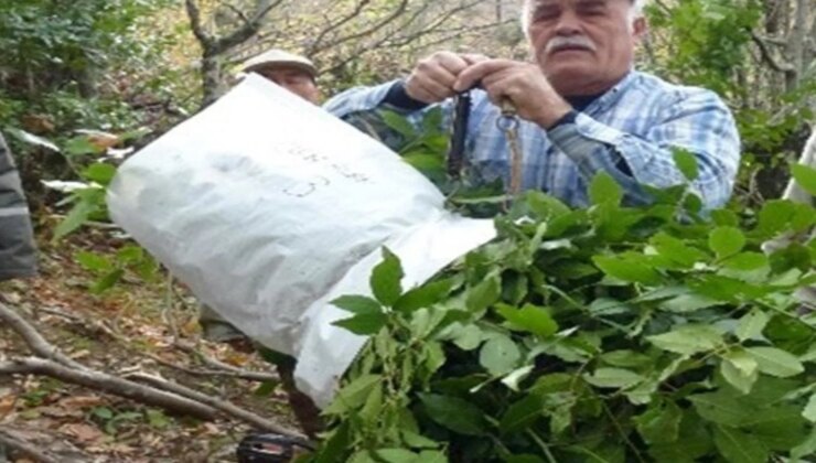 Köylünün yüzü güldü! 6 ayda 3,5 milyon lira kazandılar