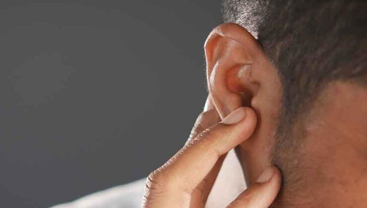 Kulağından canlı olarak çıkarıldı, doktor bile şoke oldu: Hareketliydi, doğaya bıraktık