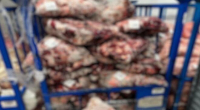 Lüleburgaz’da kaçak soğuk hava deposuna yapılan baskında 4,6 ton ete el konuldu