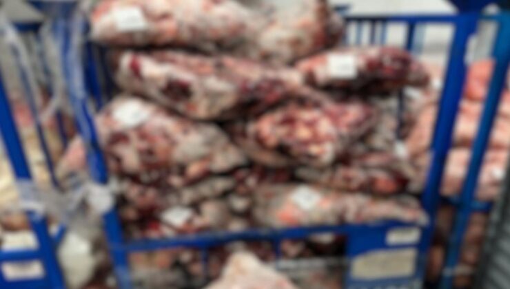 Lüleburgaz’da kaçak soğuk hava deposuna yapılan baskında 4,6 ton ete el konuldu