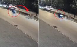 Motosikletlinin önüne bir anda çıktı: Zavallı hayvan olduğu yerde can verdi