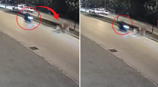 Motosikletlinin önüne bir anda çıktı: Zavallı hayvan olduğu yerde can verdi
