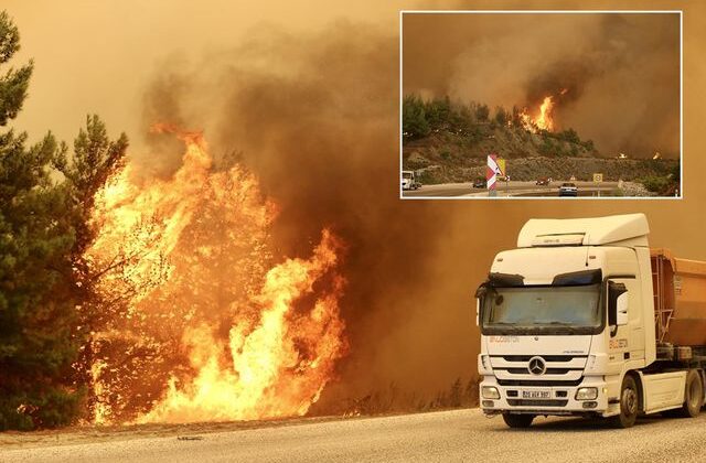 Muğla’da orman yangını! Evler tahliye edildi, iki ili birbirine bağlayan yol kapatıldı