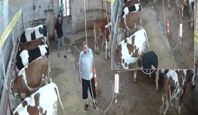 Okulu bitirip babasının yanına dönen genç, ahırda kabusu yaşadı