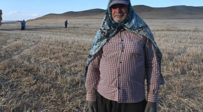 Hasat sonrası balya mesaisi başladı: Günlük kazanç 7 bin lirayı buluyor