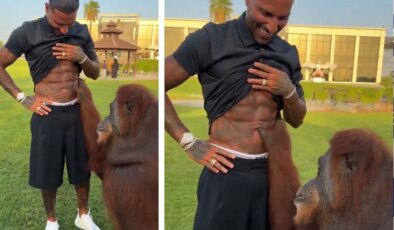 Orangutan, Quaresma’nın kaslarına hayran kaldı