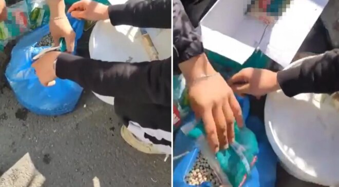 Esnaftan pes dedirten oyun! Marketten alıp ‘köy nohudu’ diye satmışlar