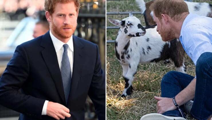 Prens Harry’ye beklenmedik darbe! Yanındakiler hemen espriyi patlattı