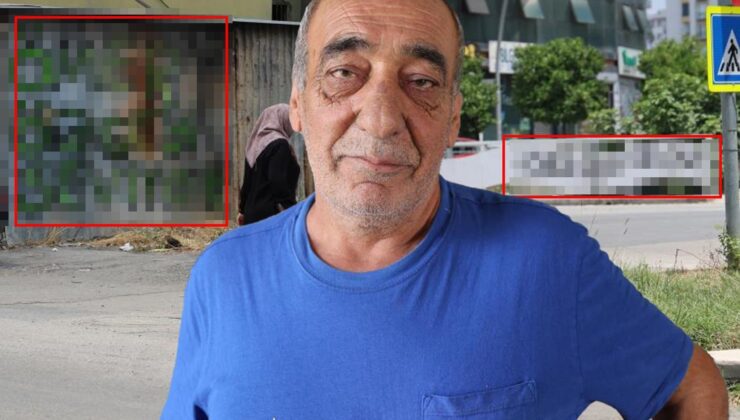 Adana’da gizemli aşk mesajı! Bu kez şehrin dört bir yanına yazdılar