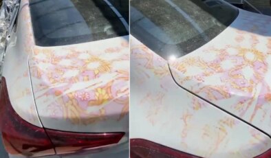 Araç sahipleri yazın sakın bu hatayı yapmayın! Kaş yapayım derken göz çıkardı