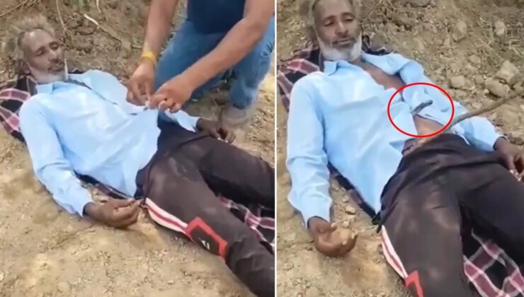 Tarlada uyuyan çiftçinin gömleğine kobra girdi! Arkadaşları zamanla yarıştı