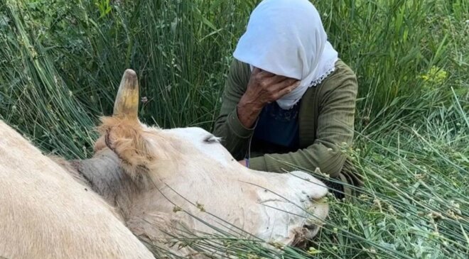 Türkiye’nin gündemine oturan teyzenin yüzünü güldürdüler