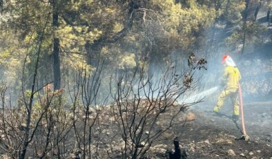 Balıkesir’de yangın felaketi! Ormanlık alana ulaşması son anda engellendi