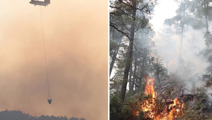 Antalya’da ormanlık alanda çıkan yangına müdahale ediliyor