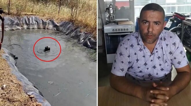 Köpekleri boğulmaktan kurtaran vatandaşı işten kovdular