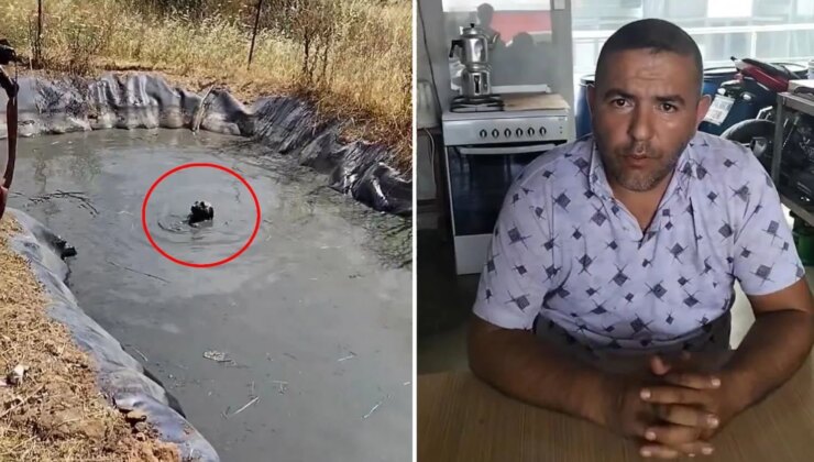 Köpekleri boğulmaktan kurtaran vatandaşı işten kovdular