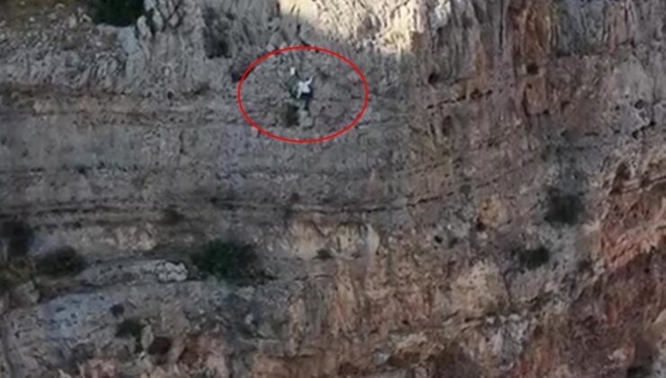 600 metrelik uçurumda tehlikeli hasat! Kilosu 15 bin liradan satılıyor