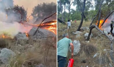 Antalya’da  orman yangını müdahalesinde gönüllüler de devrede: Yangın tüpleri eşekle taşındı