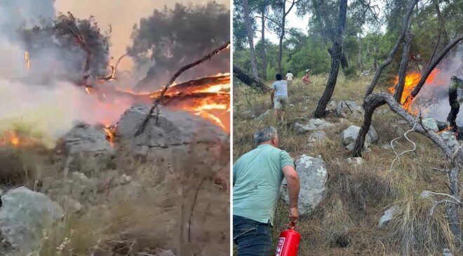 Antalya’da  orman yangını müdahalesinde gönüllüler de devrede: Yangın tüpleri eşekle taşındı