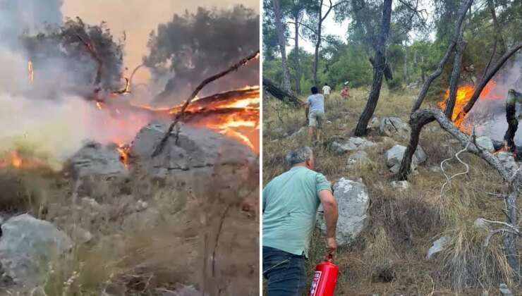Antalya’da  orman yangını müdahalesinde gönüllüler de devrede: Yangın tüpleri eşekle taşındı