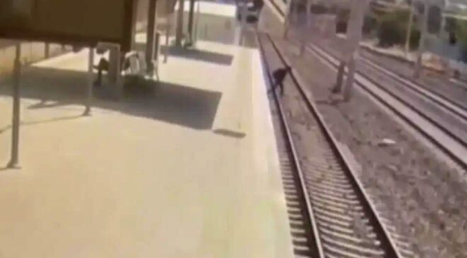 Ankara’da tren raylarına atlayan doktor yaşamını yitirdi