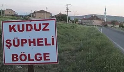 Ardahan’da kuduz vakası nedeniyle bir bölge karantinaya alındı