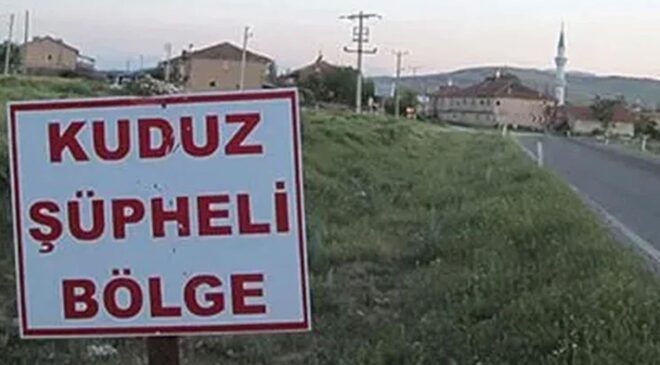 Ardahan’da kuduz vakası nedeniyle bir bölge karantinaya alındı